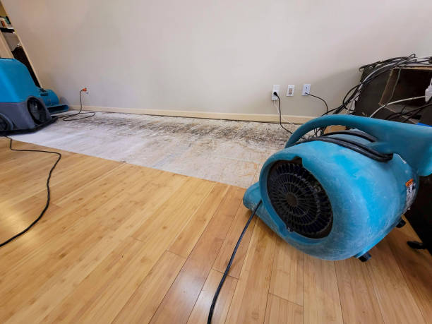 Professional Sewage Cleanup technician working in Riverdale, NJ